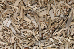 biomass boilers Trostre